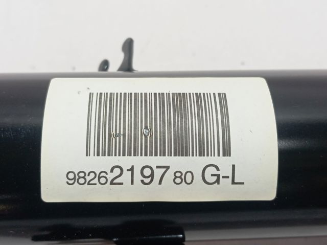 Амортизатор передньої підвіски, лівий Peugeot/Citroen 9826219780 ціна, від 66.76 USD