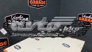1613415780 Peugeot/Citroen Решітка радіатора