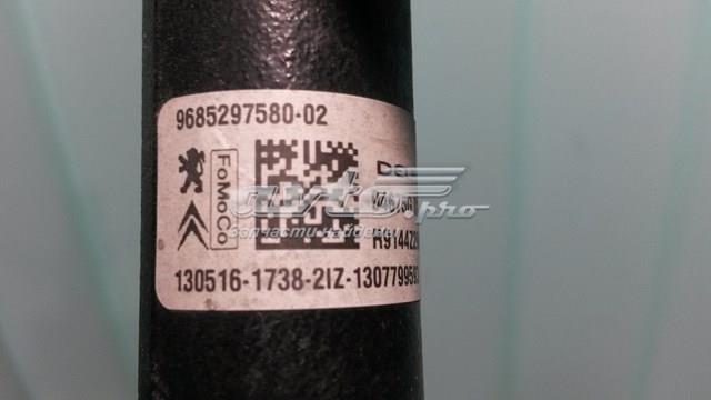968529758002 Peugeot/Citroen 