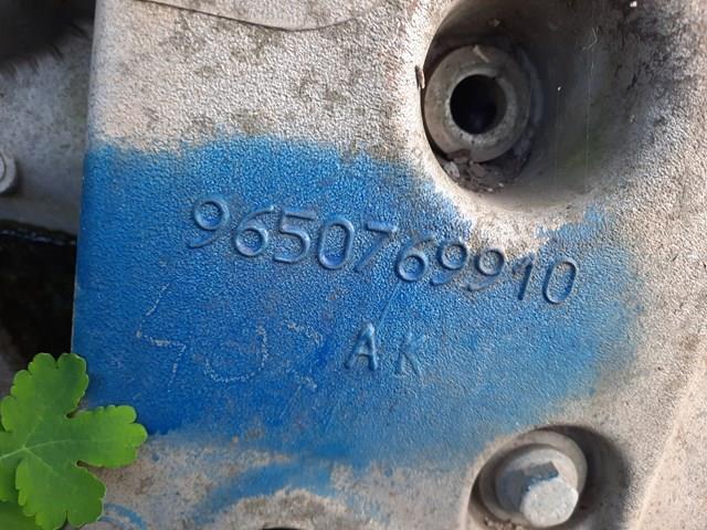 9650769910 Peugeot/Citroen 