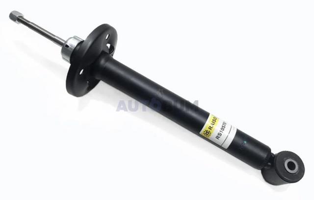 Амортизатор задній Raiso RS105781OIL ціна, від 22.17 USD