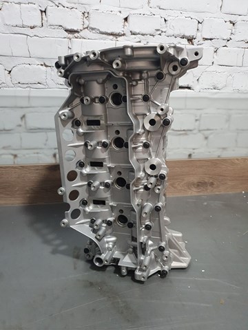 1104100Q1G Nissan/Infiniti Головка циліндрів