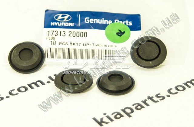 966107A000 Hyundai/Kia 