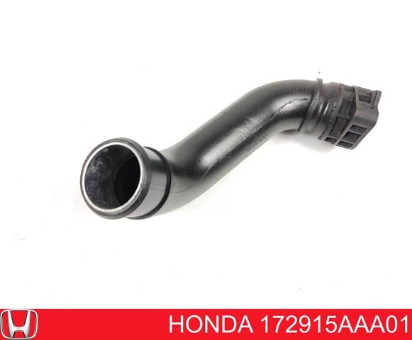  Honda 172915AAA01