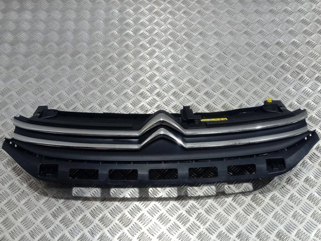 9812063477 Peugeot/Citroen Решітка радіатора