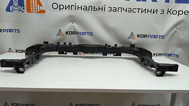Рамка радіатора 64101AO000 Hyundai/Kia