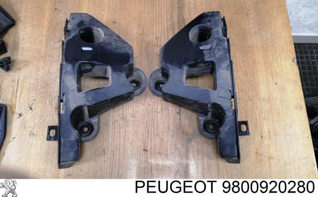 Купити 9800920280 Peugeot/Citroen 