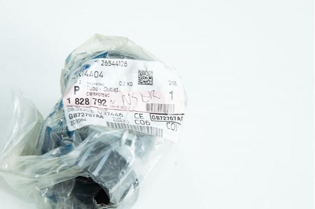 C1B16F075AE Ford 