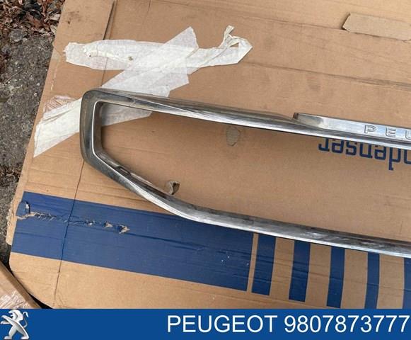 Купити 9807873777 Peugeot/Citroen 