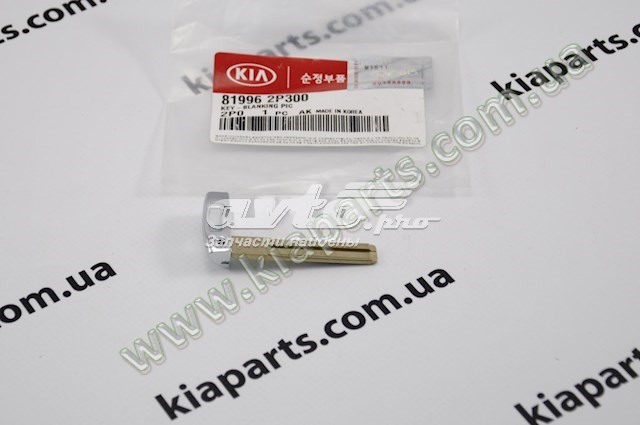Купити 819962P300 Hyundai/Kia 
