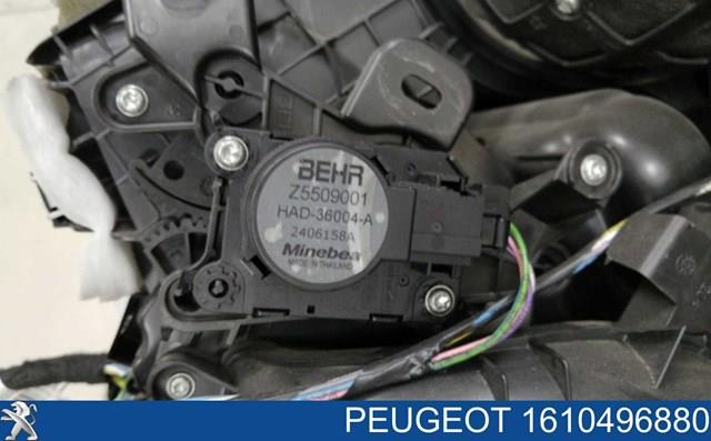  1610496880 Peugeot/Citroen