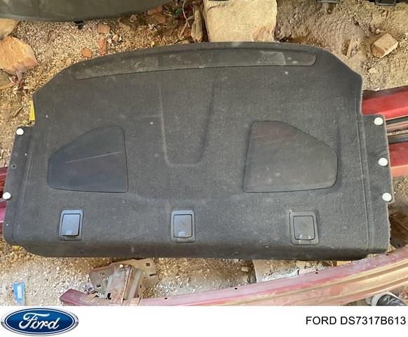 Купити DS7317B613 Ford 