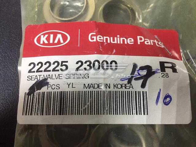  2222523000 Hyundai/Kia