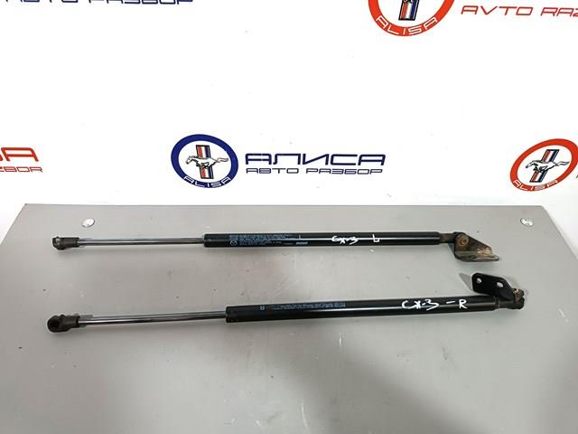 D10E62620 Mazda Амортизатор кришки багажника / двері 3/5-ї задньої