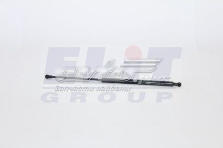 Амортизатор двері задньої Magneti Marelli GS0428 ціна, від 12.77 USD