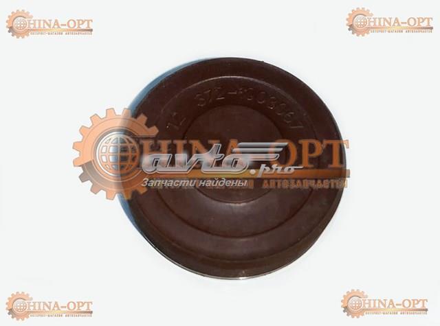  Chery 3721003067