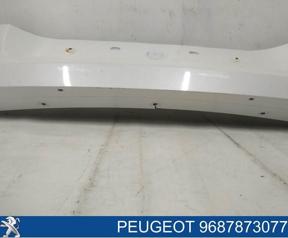 9687873077 Peugeot/Citroen 