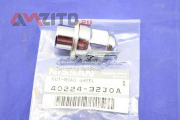  Nissan/Infiniti 4022432J0A