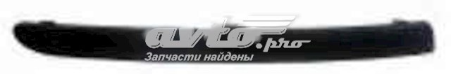 Молдинг переднього бампера, правий FPS FP2556922