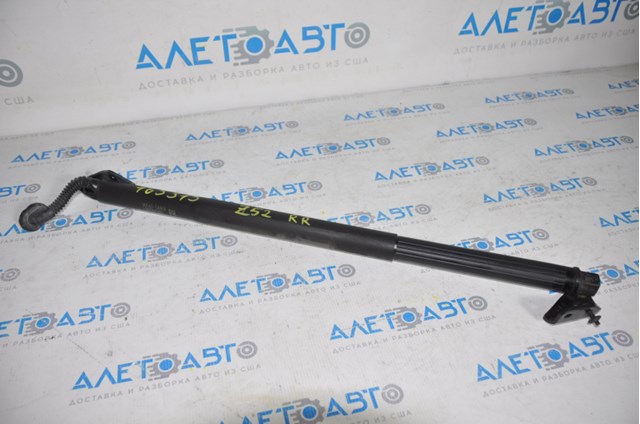 905605AA1A Nissan/Infiniti Амортизатор кришки багажника / двері 3/5-ї задньої