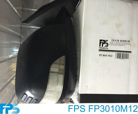 FP3010M12 FPS Праве дзеркало заднього виду