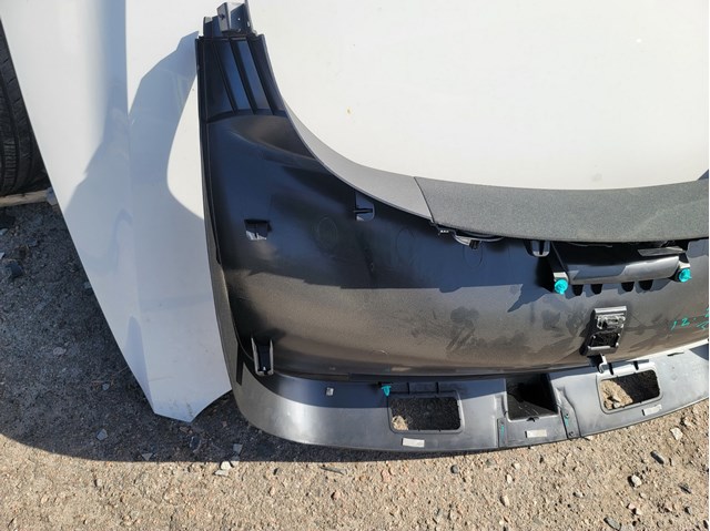 1009231S0A Tesla 