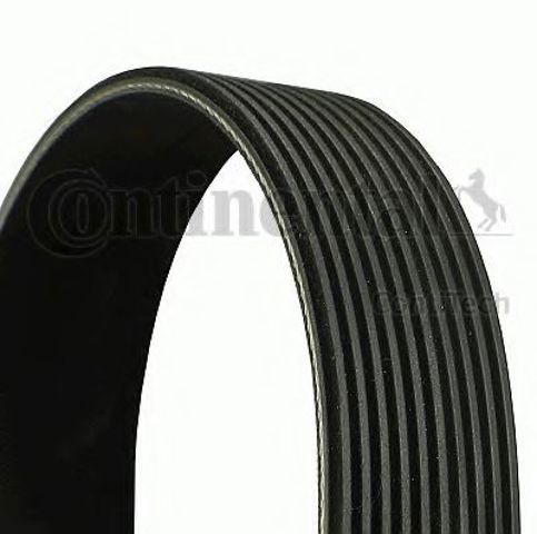 Клиновий ремінь Continental/Siemens 10PK1108 ціна, від 8.85 USD