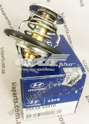 2551052010 Hyundai/Kia 