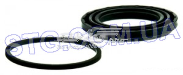 Centric Parts 14363031