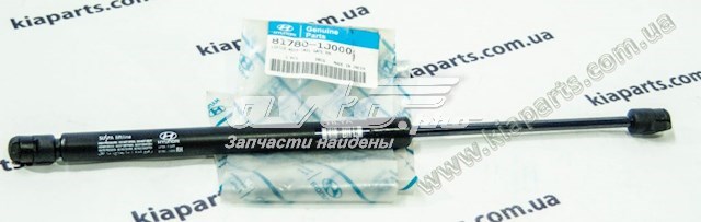амортизатор кришки багажника/ двері 3/5-ї задньої ZSAH0024 Амортизатор двері 3/5-ї задньої ASHIKA ZSAH0024