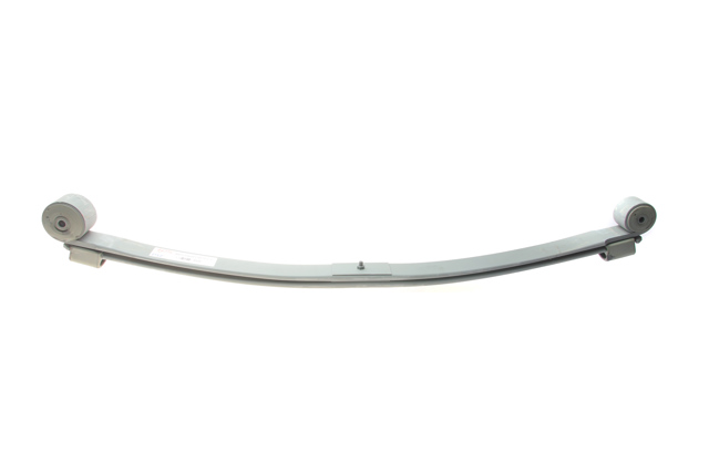Купити BK315560EC0019ZT TES Ресори задні (пружини задньої підвіски)