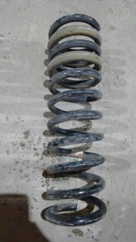 Купити DG9Z5310G Ford Гвинтова пружина підвіска
