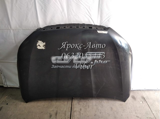 Капот FPS FP6728280