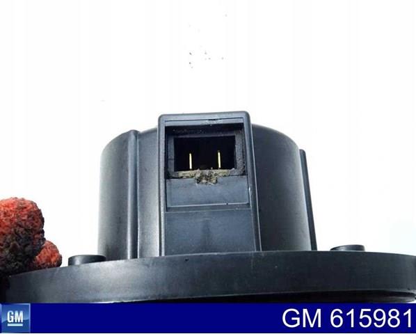 615981 General Motors 