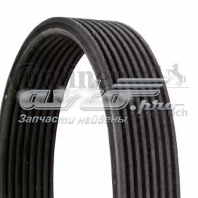 Клиновий ремінь Continental/Siemens 8DPK1827 ціна, від 23.02 USD
