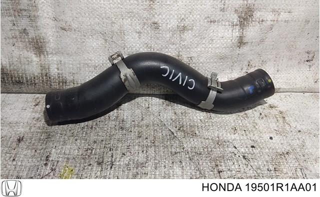 19501R1AA01 Honda 