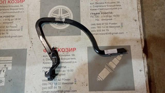 Петля кришки багажника 9808428280 Peugeot/Citroen