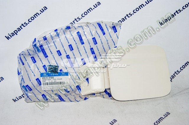 Купити 695103R000 Hyundai/Kia Лючок (дверцята) бензобака