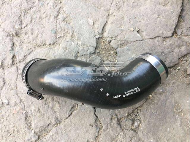 Купити 8200185556 Renault (RVI) 