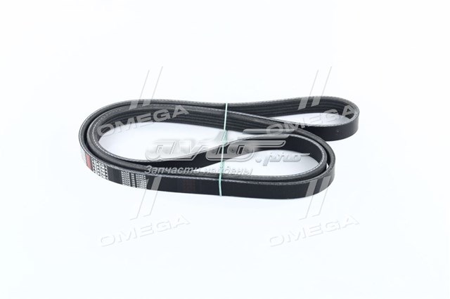 Купити 5PK1650 Dongil Ремінь генератора