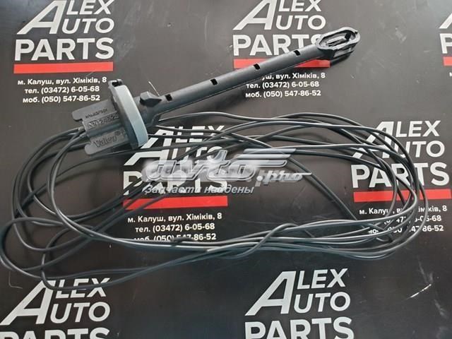 T10202988 Renault (RVI) 