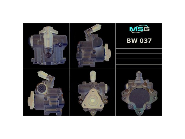 Купити BW037 MSG Насос гідравліки