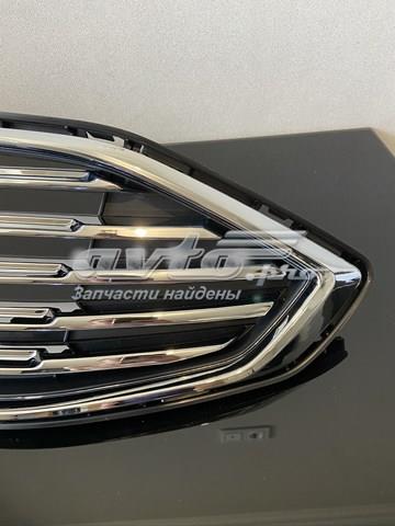Купити HS738150AAW Ford Захисна решітка радіатора