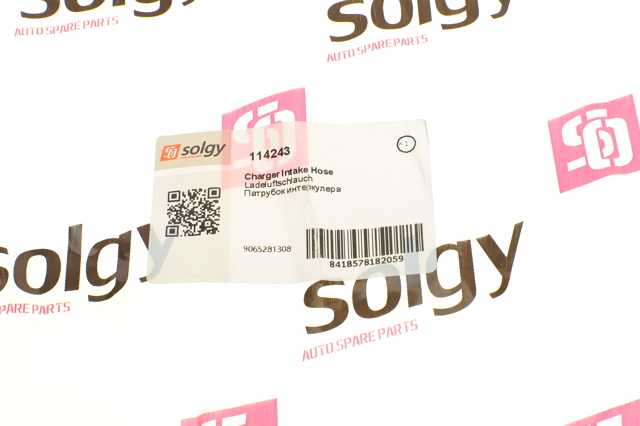 114243 Solgy 