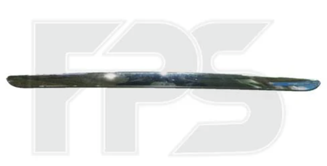 Молдинг капота FPS FP3213999 ціна, від 14.05 USD
