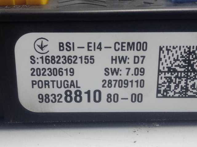 9832881080 Peugeot/Citroen 