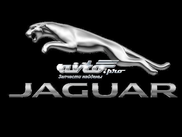Купити AJ812892 Jaguar Болт гбц