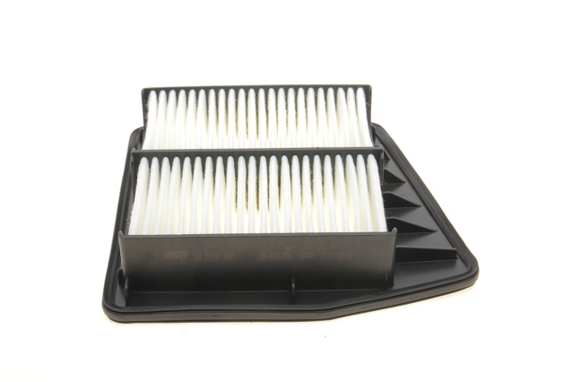 Купити WH2019 Wunder Автомобільний фільтр повітря