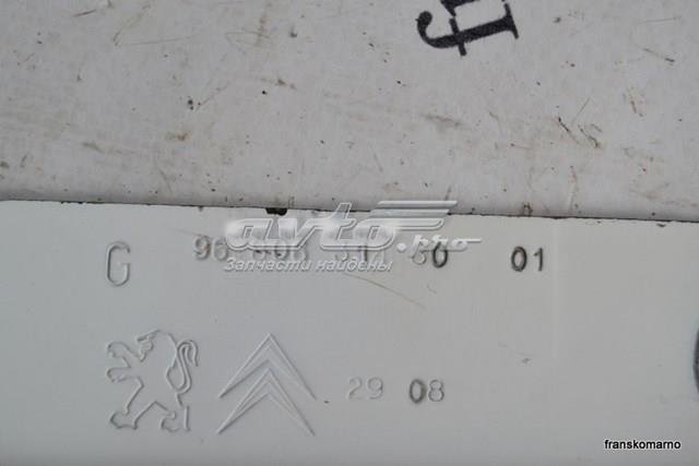 Купити 9680631480 Peugeot/Citroen 