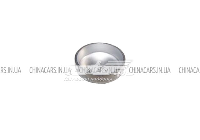 4801003018 Chery Заглушка головки блока